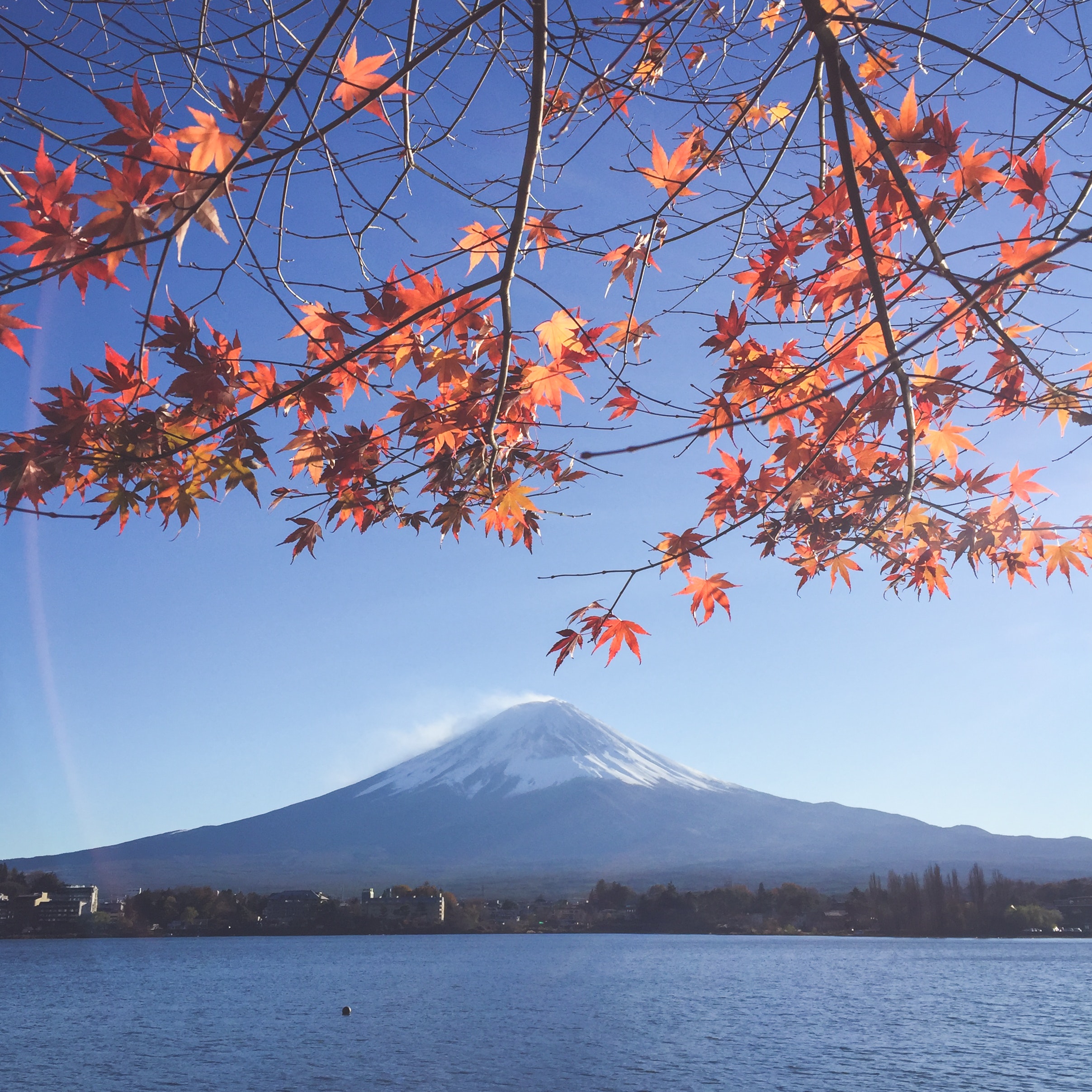 富士山